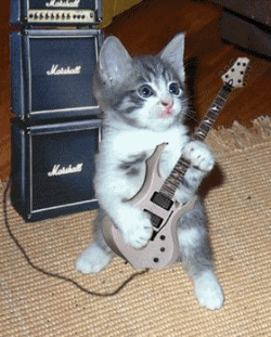 chat
