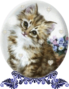 chat
