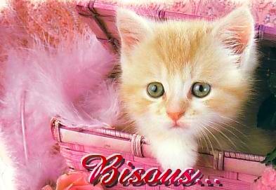 chat