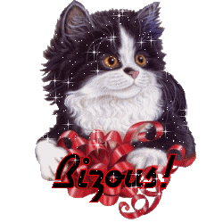 BISOUS