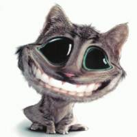 chat