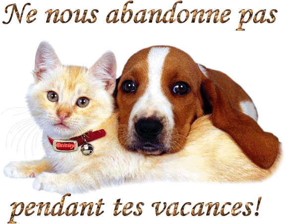 N' ABONDONNER LES PAS !!!!!!!!