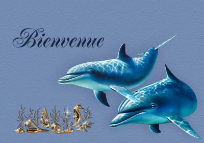 bienvenue