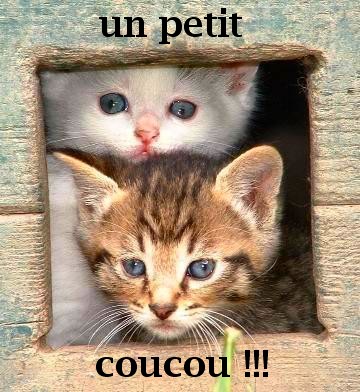 coucou !!!