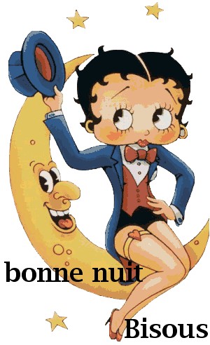bonne nuit !!!
