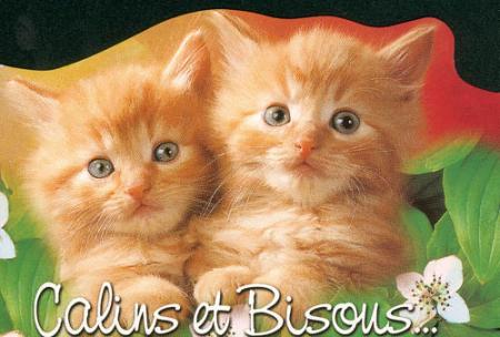 bisous à tous !!!